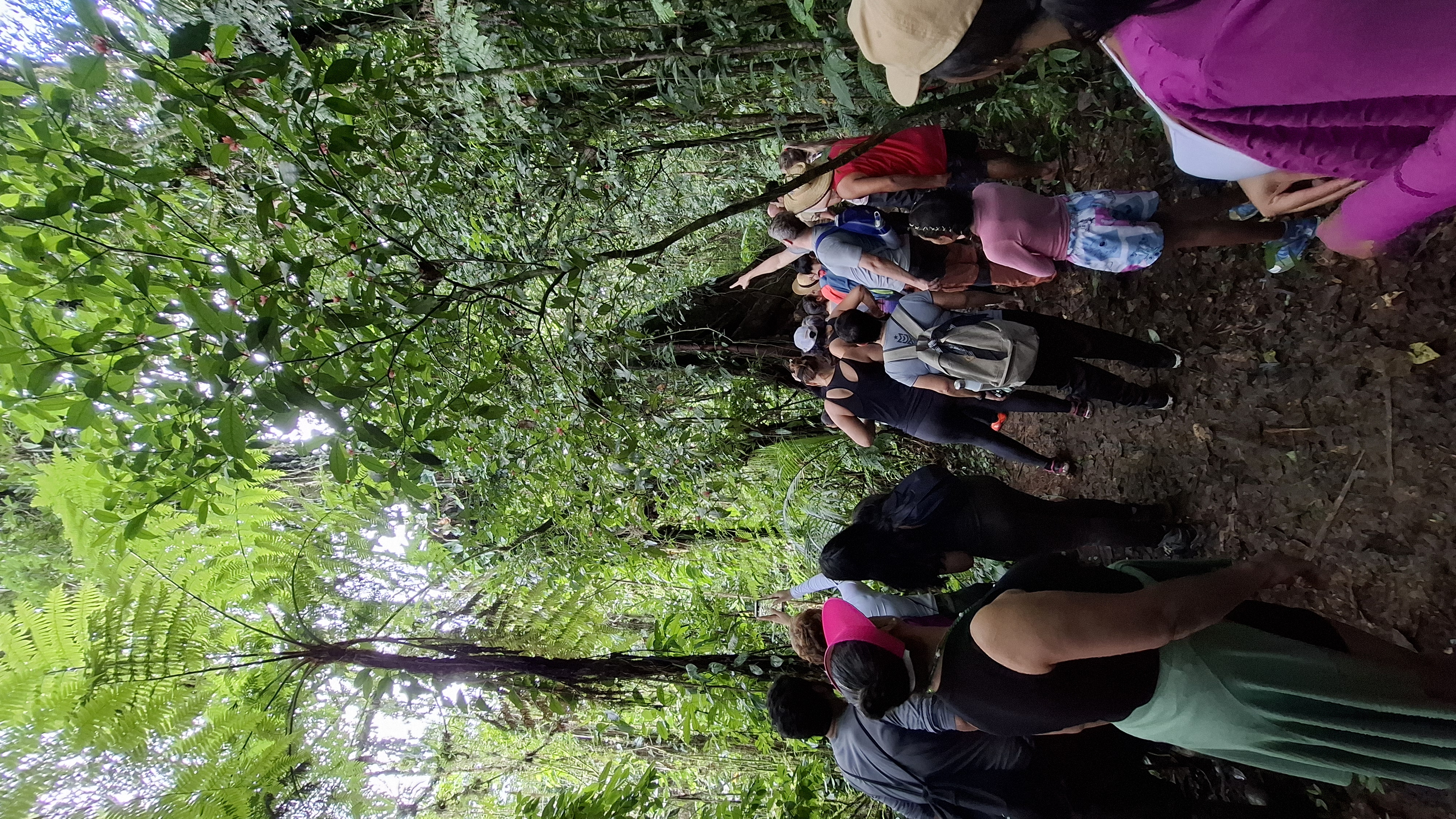 Reserva Ecológica do Sebuí